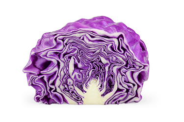 indiniò inverno2026